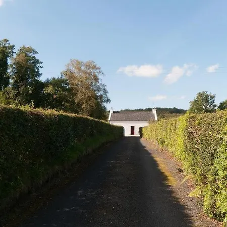 Smiths * Letterkenny