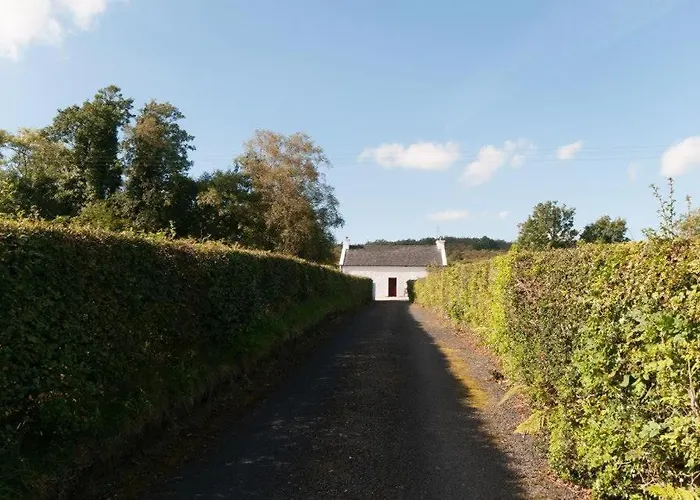 Smiths * Letterkenny